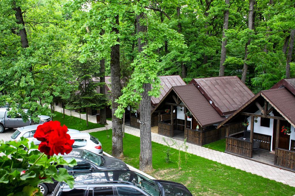 Cornul Vanatorului Bungalows Πιτέστι Εξωτερικό φωτογραφία