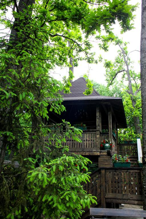 Cornul Vanatorului Bungalows Πιτέστι Εξωτερικό φωτογραφία
