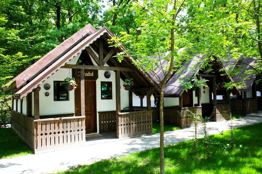 Cornul Vanatorului Bungalows Πιτέστι Εξωτερικό φωτογραφία