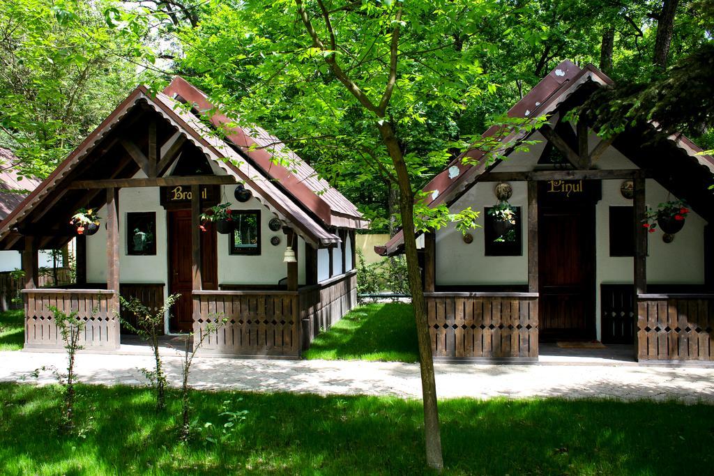 Cornul Vanatorului Bungalows Πιτέστι Εξωτερικό φωτογραφία