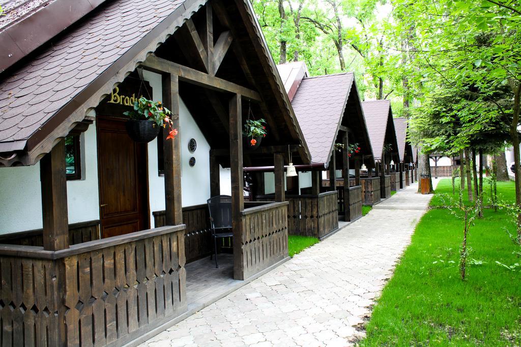 Cornul Vanatorului Bungalows Πιτέστι Εξωτερικό φωτογραφία