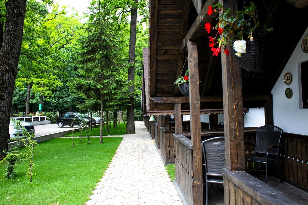 Cornul Vanatorului Bungalows Πιτέστι Εξωτερικό φωτογραφία